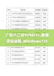 广东八二站92941cc,精细评估说明_Windows115.267