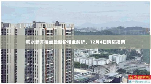 响水新开楼盘最新价格解析与购房指南（12月4日版）