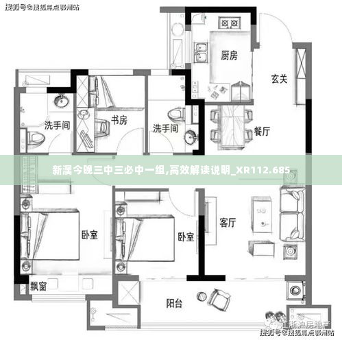 新澳今晚三中三必中一组,高效解读说明_XR112.685