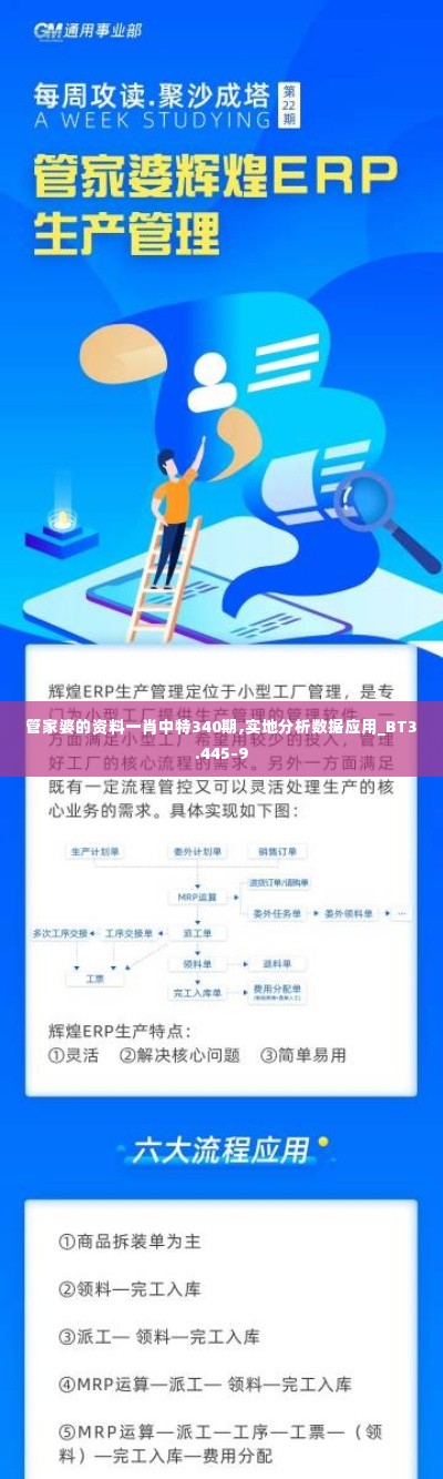 管家婆的资料一肖中特340期,实地分析数据应用_BT3.445-9