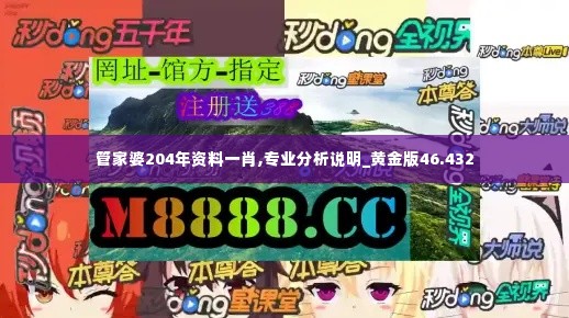 管家婆204年资料一肖,专业分析说明_黄金版46.432