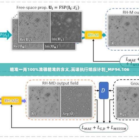 精准一肖100%准确精准的含义,高速执行响应计划_MP94.106