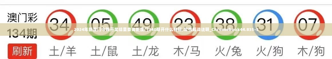 2024年新澳门今晚开奖结果查询新澳门340期开什么特码,定性解读说明_Chromebook44.835-5