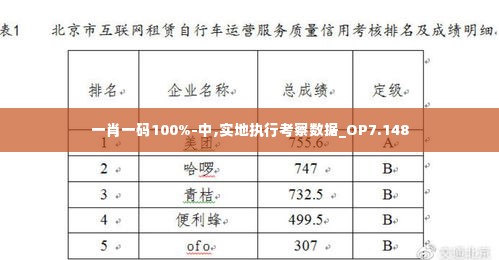 一肖一码100%-中,实地执行考察数据_OP7.148