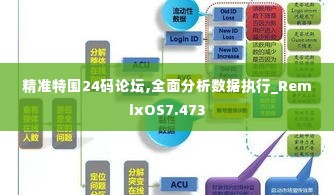 精准特围24码论坛,全面分析数据执行_RemixOS7.473