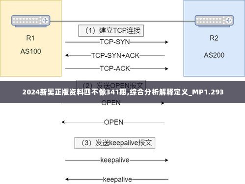 2024新奥正版资料四不像341期,综合分析解释定义_MP1.293