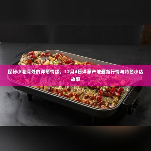 探秘小巷深处的洋葱情缘，最新产地行情与特色小店故事（12月4日）