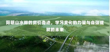 阳明山水畔房价奇迹，变化的力量与自信塑造未来成就