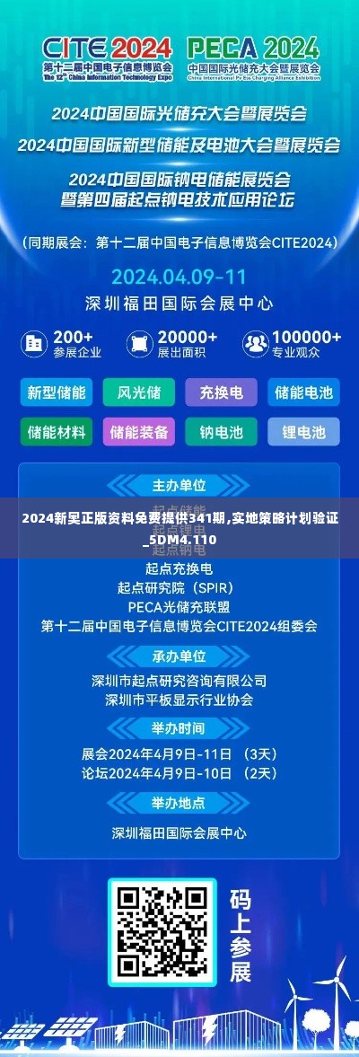 2024新奥正版资料免费提供341期,实地策略计划验证_5DM4.110