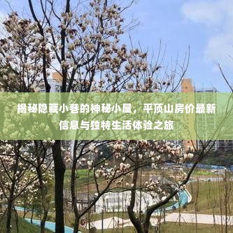 平顶山神秘小巷生活探秘，房价最新信息与独特生活体验之旅