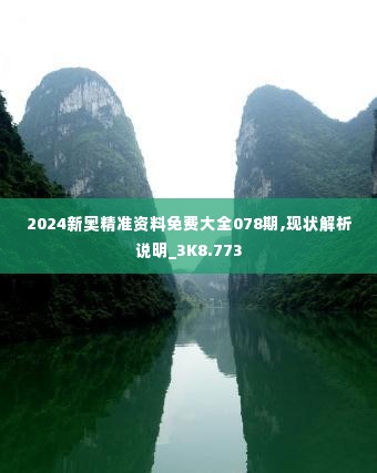 2024新奥精准资料免费大全078期,现状解析说明_3K8.773