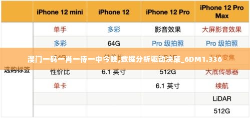 澳门一码一肖一待一中今晚,数据分析驱动决策_6DM1.336