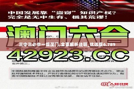 三中三必中一组澳门,全面解析说明_优选版6.789