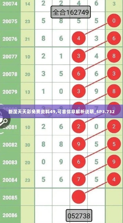 新澳天天彩免费资料49,可靠信息解析说明_SP3.732