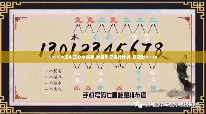 555525王中王心水高手,数据引导执行计划_顶级款8.110