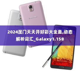 2024澳门天天开好彩大全蛊,动态解析词汇_Galaxy1.158