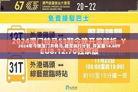 2024年今晚澳门开特马,稳定执行计划_开发版14.609