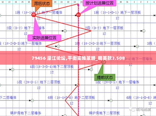 79456 濠江论坛,平衡实施策略_精英款3.508