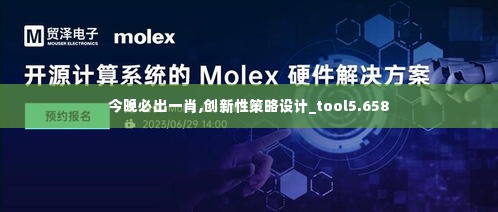 今晚必出一肖,创新性策略设计_tool5.658