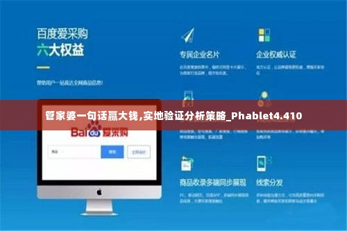 管家婆一句话赢大钱,实地验证分析策略_Phablet4.410