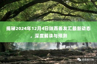 陕西善友汇最新动态揭秘，深度解读与预测，聚焦2024年12月4日发展动向