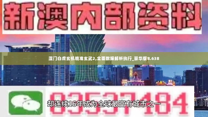 澳门白虎玄机精准玄武2,全面数据解析执行_豪华版8.638