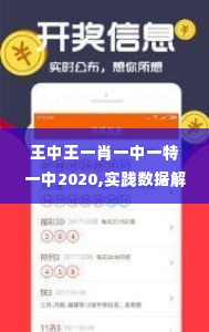 王中王一肖一中一特一中2020,实践数据解释定义_旗舰版6.889