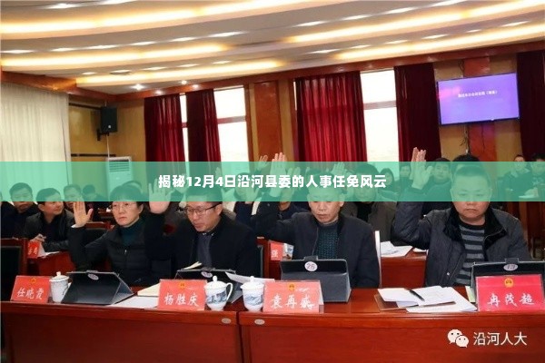 沿河县委人事任免风云揭秘，12月4日重磅人事调整动态