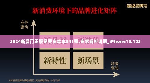 2024新澳门正版免费资本车341期,专家解析说明_iPhone10.102