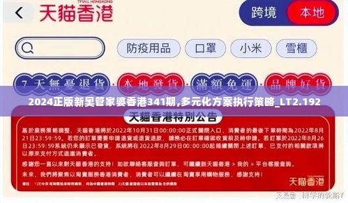 2024正版新奥管家婆香港341期,多元化方案执行策略_LT2.192