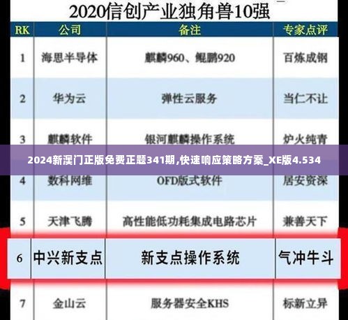 2024新澳门正版免费正题341期,快速响应策略方案_XE版4.534