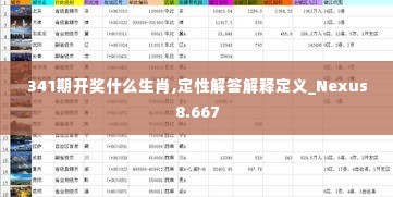 341期开奖什么生肖,定性解答解释定义_Nexus8.667