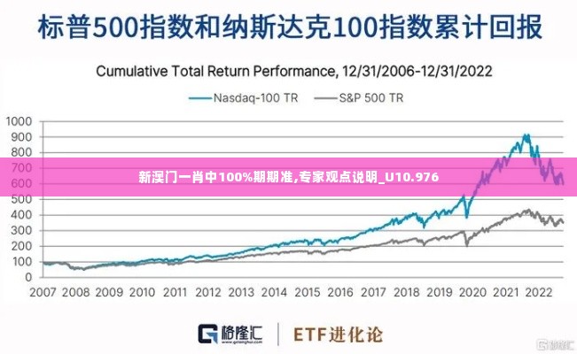 新澳门一肖中100%期期准,专家观点说明_U10.976