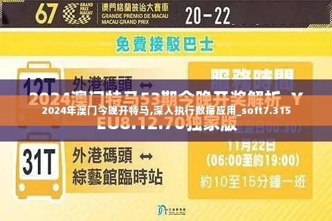 2024年澳门今晚开特马,深入执行数据应用_soft7.315