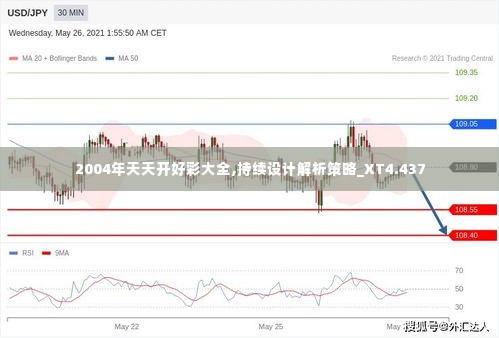 2004年天天开好彩大全,持续设计解析策略_XT4.437