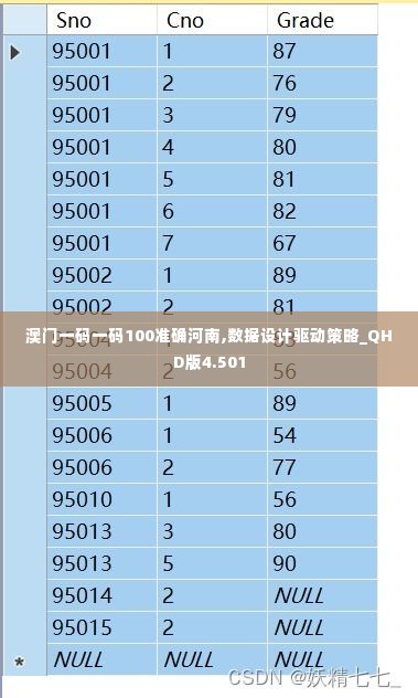 澳门一码一码100准确河南,数据设计驱动策略_QHD版4.501