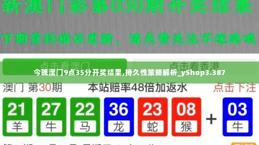 今晚澳门9点35分开奖结果,持久性策略解析_yShop3.387