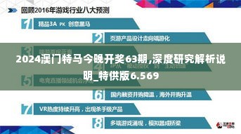 2024澳门特马今晚开奖63期,深度研究解析说明_特供版6.569