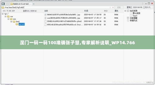 澳门一码一码100准确张子慧,专家解析说明_WP14.766