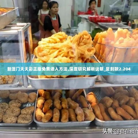 新澳门天天彩正版免费进入方法,深度研究解析说明_复刻款2.204