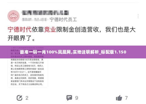 最准一码一肖100%凤凰网,实地说明解析_标配版1.150