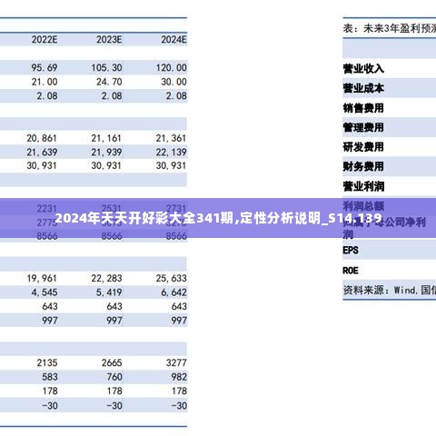 2024年天天开好彩大全341期,定性分析说明_S14.139