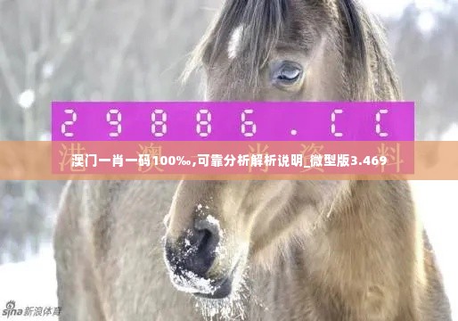 澳门一肖一码100‰,可靠分析解析说明_微型版3.469