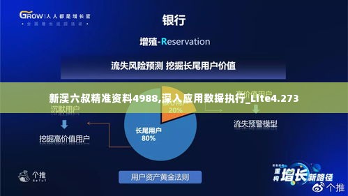 新澳六叔精准资料4988,深入应用数据执行_Lite4.273