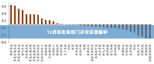 张宏良热门评论深度解析，聚焦十二月热议话题