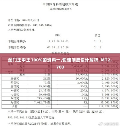 澳门王中王100%的资料一,快速响应设计解析_MT2.703