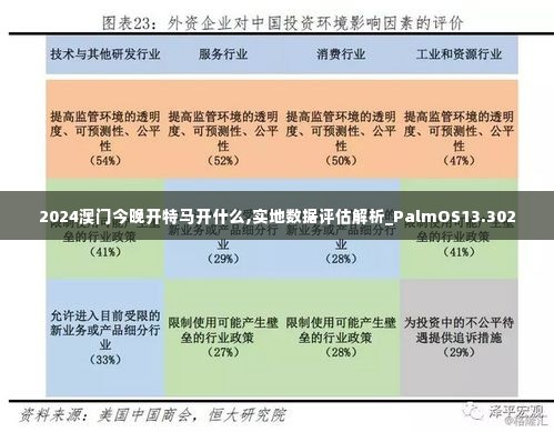 2024澳门今晚开特马开什么,实地数据评估解析_PalmOS13.302