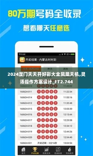 2024澳门天天开好彩大全凤凰天机,灵活操作方案设计_FT2.744