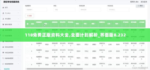 118免费正版资料大全,全面计划解析_界面版8.232