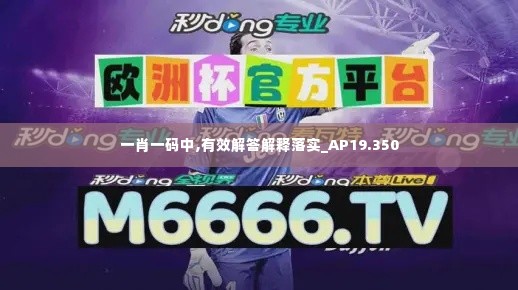 一肖一码中,有效解答解释落实_AP19.350